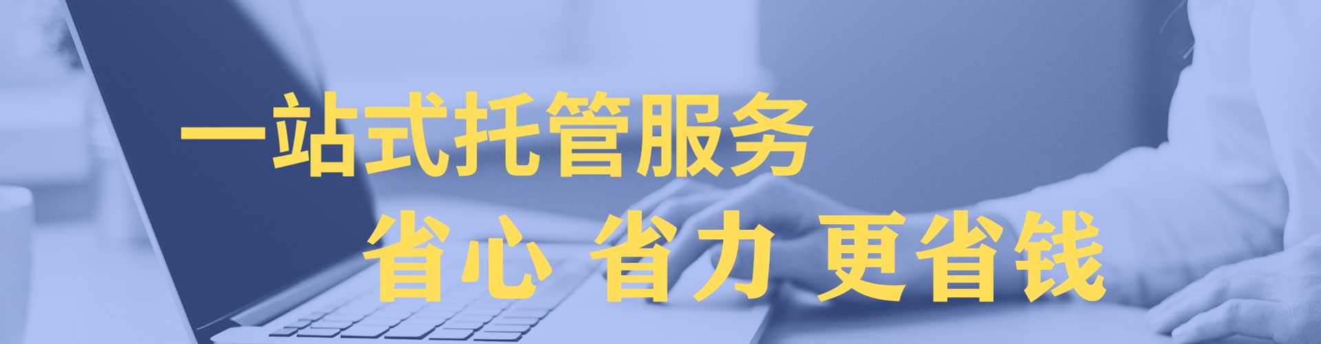 西平sem代运营